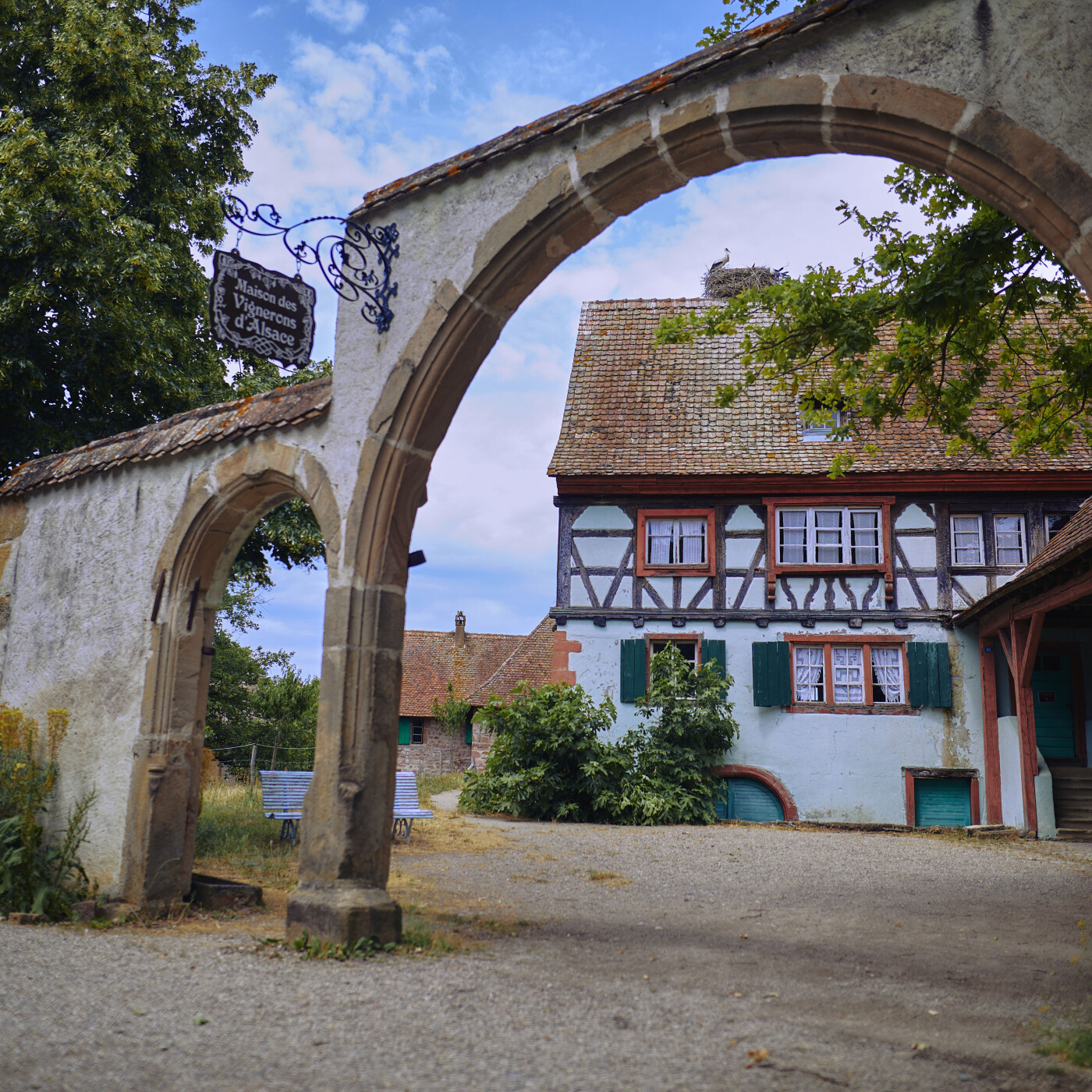 Ecomusée d'Alsace : Des rénovations nécessaires pour la Maison du Vigneron episode artwork