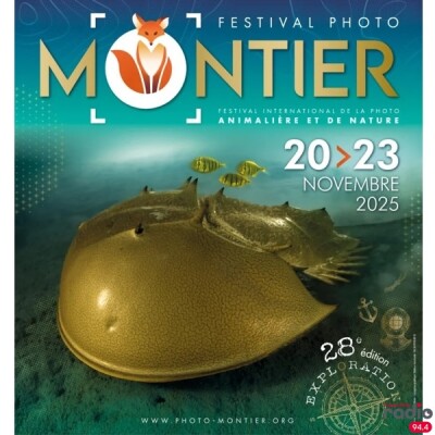 DESTINATION NATURE - Le Festival international de la photo animalière et de nature de Montier-en-Der cover