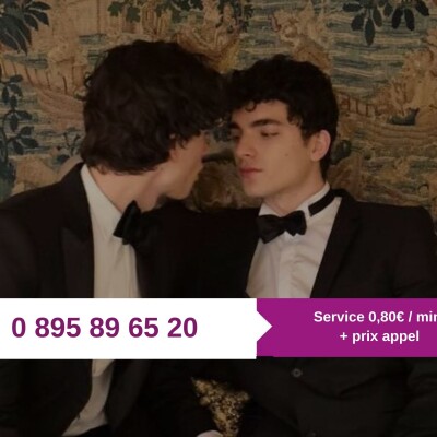 Numéro Réseau Gay par Téléphone : 0895 89 65 20 cover