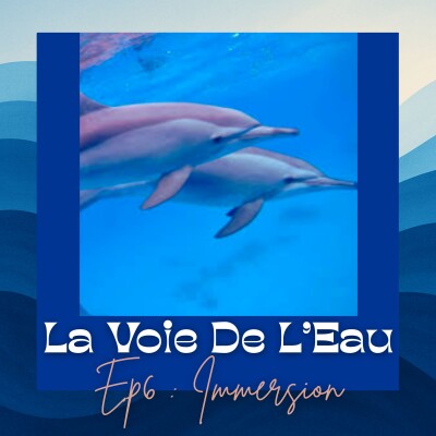 EP06 : Immersion | Hommage à l'océan : célébrer pour mieux protéger cover