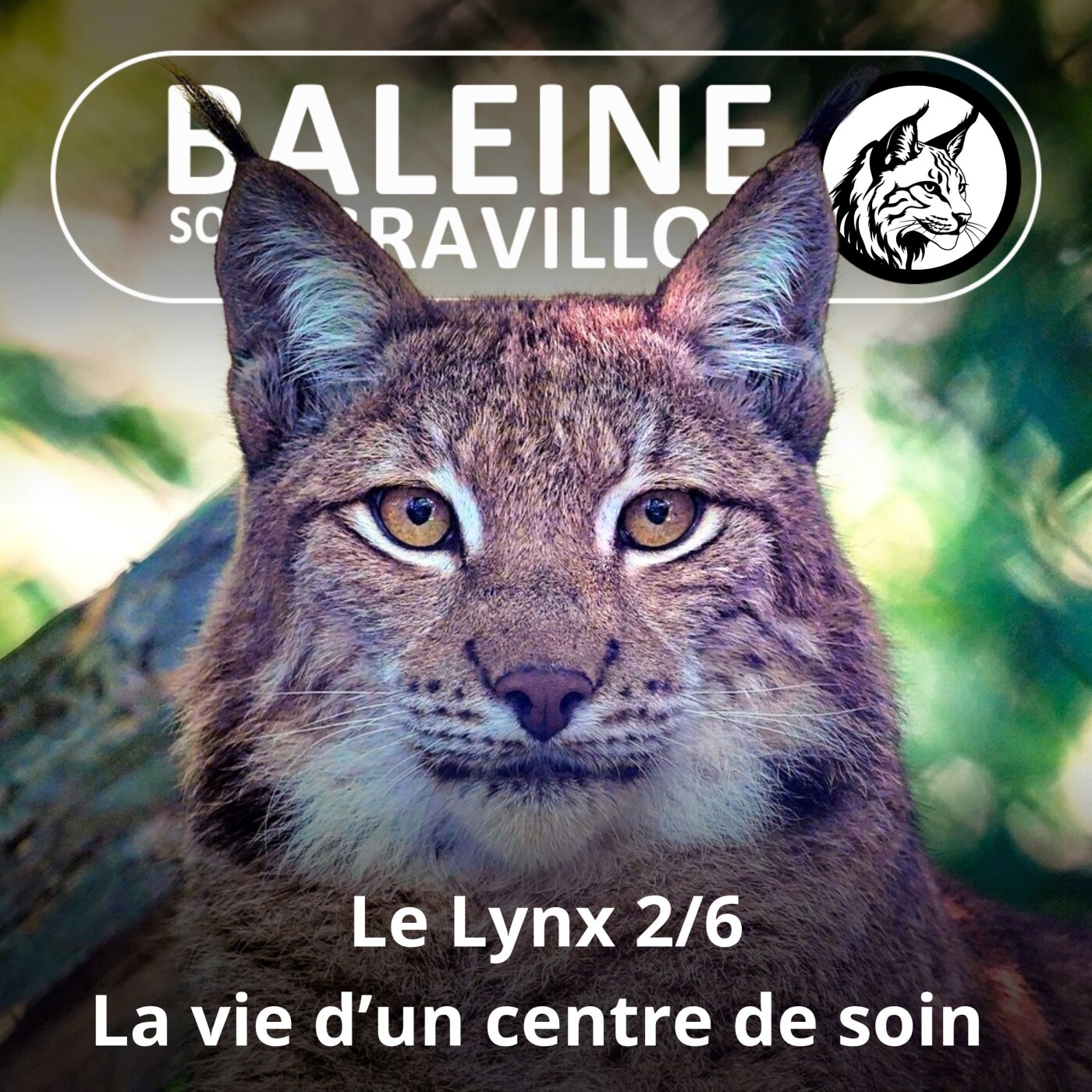 S03E21 Le Lynx 2/6 : Un survivant... en sursis episode artwork