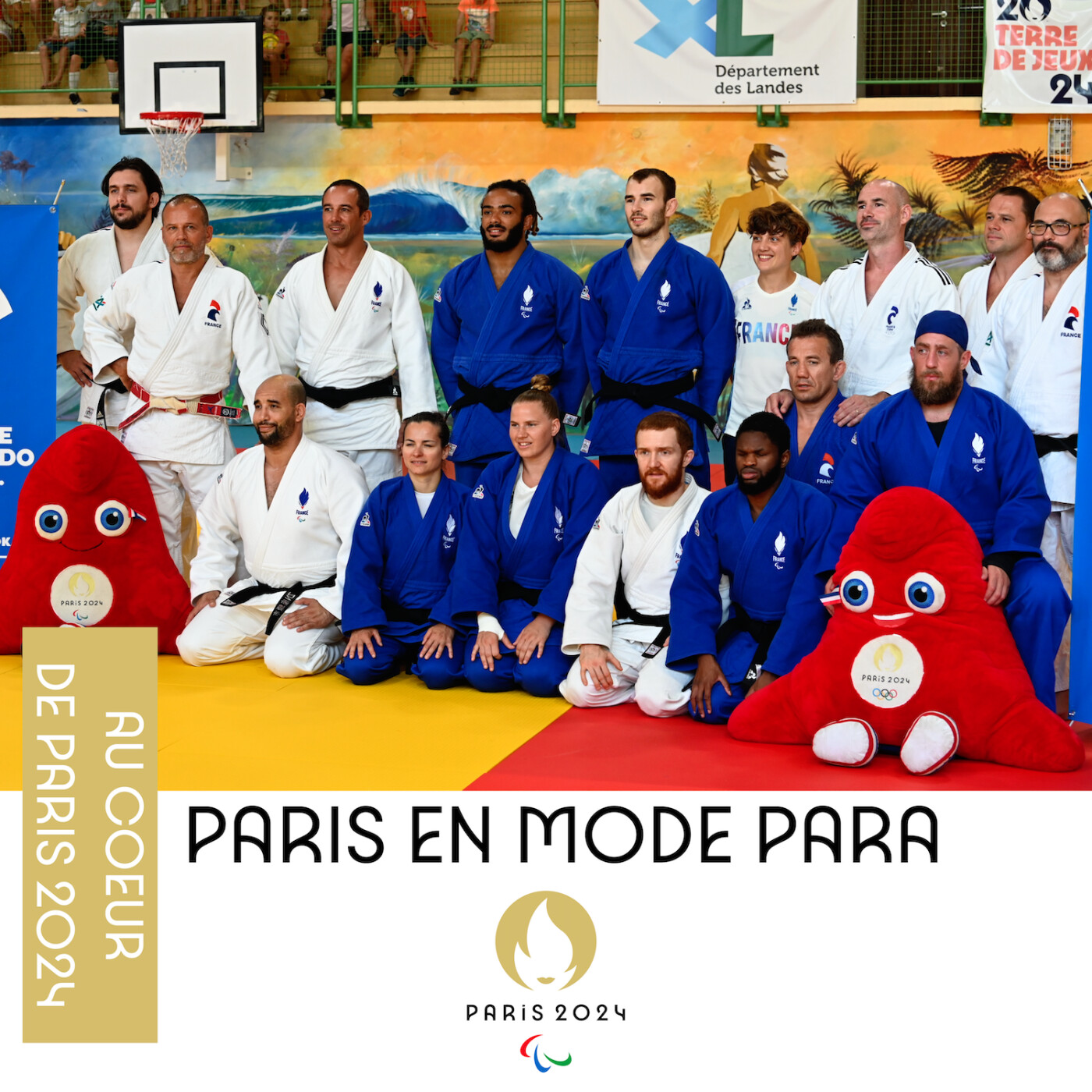 Hajime, entretiens sur et en dehors des tatamis