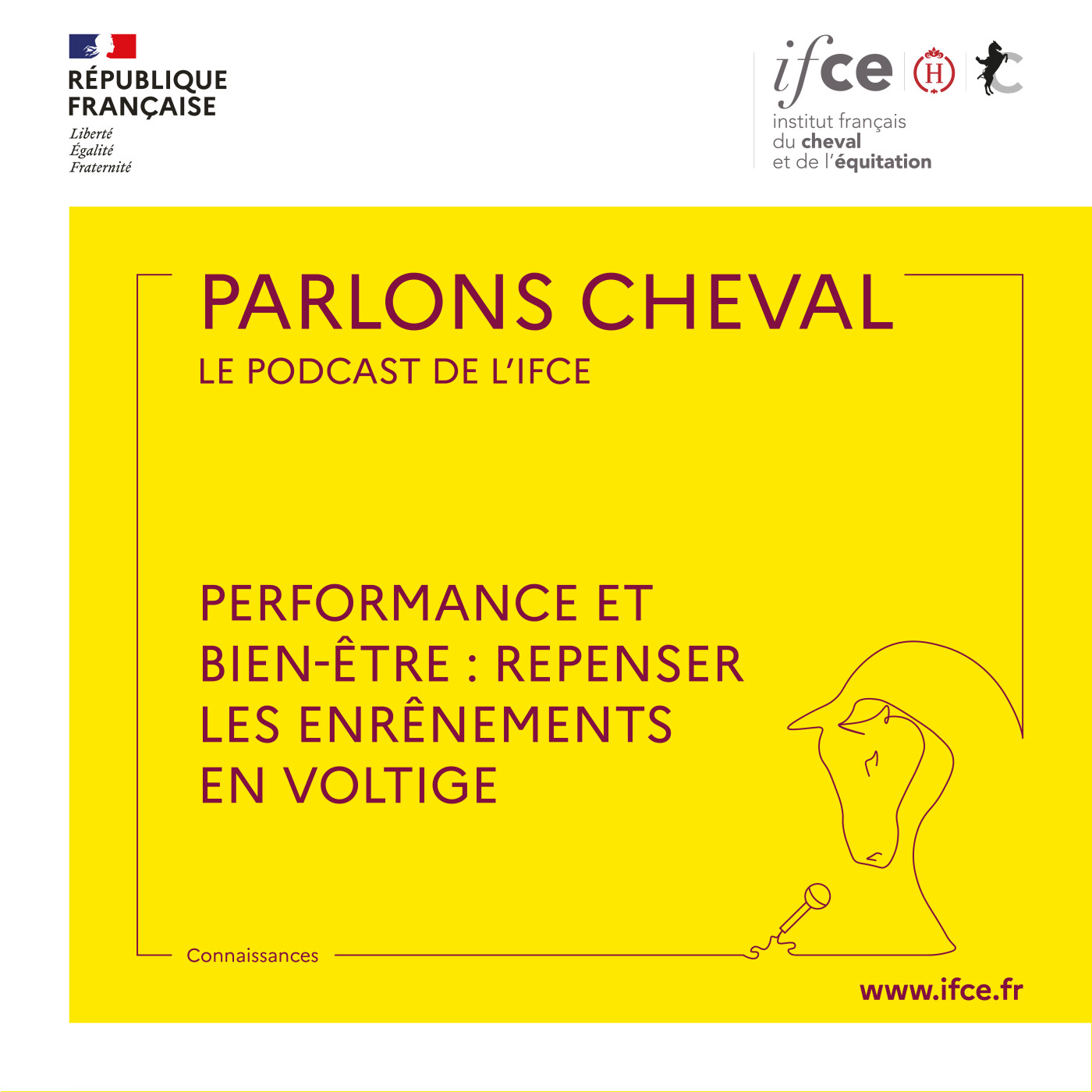 Performance et bien-être : repenser les enrênements en voltige – Sophie Biau et François Athimon