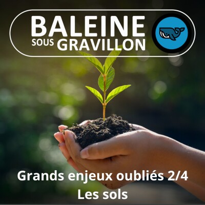 S03E97 Grands enjeux oubliés 2/4 : les sols, un problème très terre à terre... cover