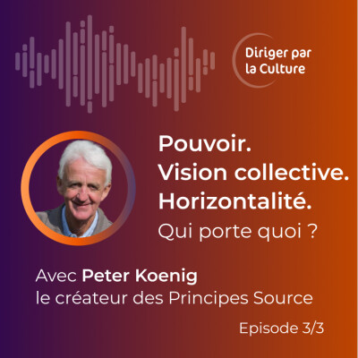 Pouvoir, vision collective, horizontalité : qui porte réellement quoi ? | Peter Koenig cover