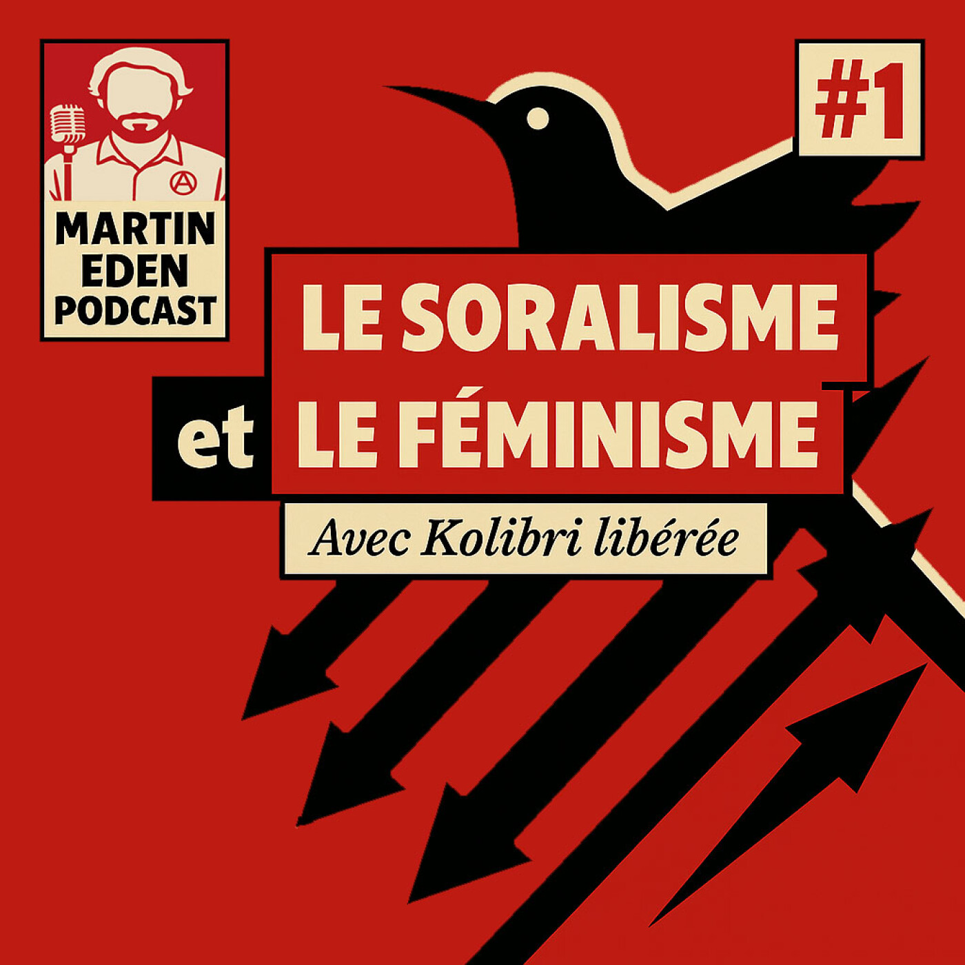 🎧 Le Soralisme et le Féminisme #1 (avec Kolibri libérée) episode artwork