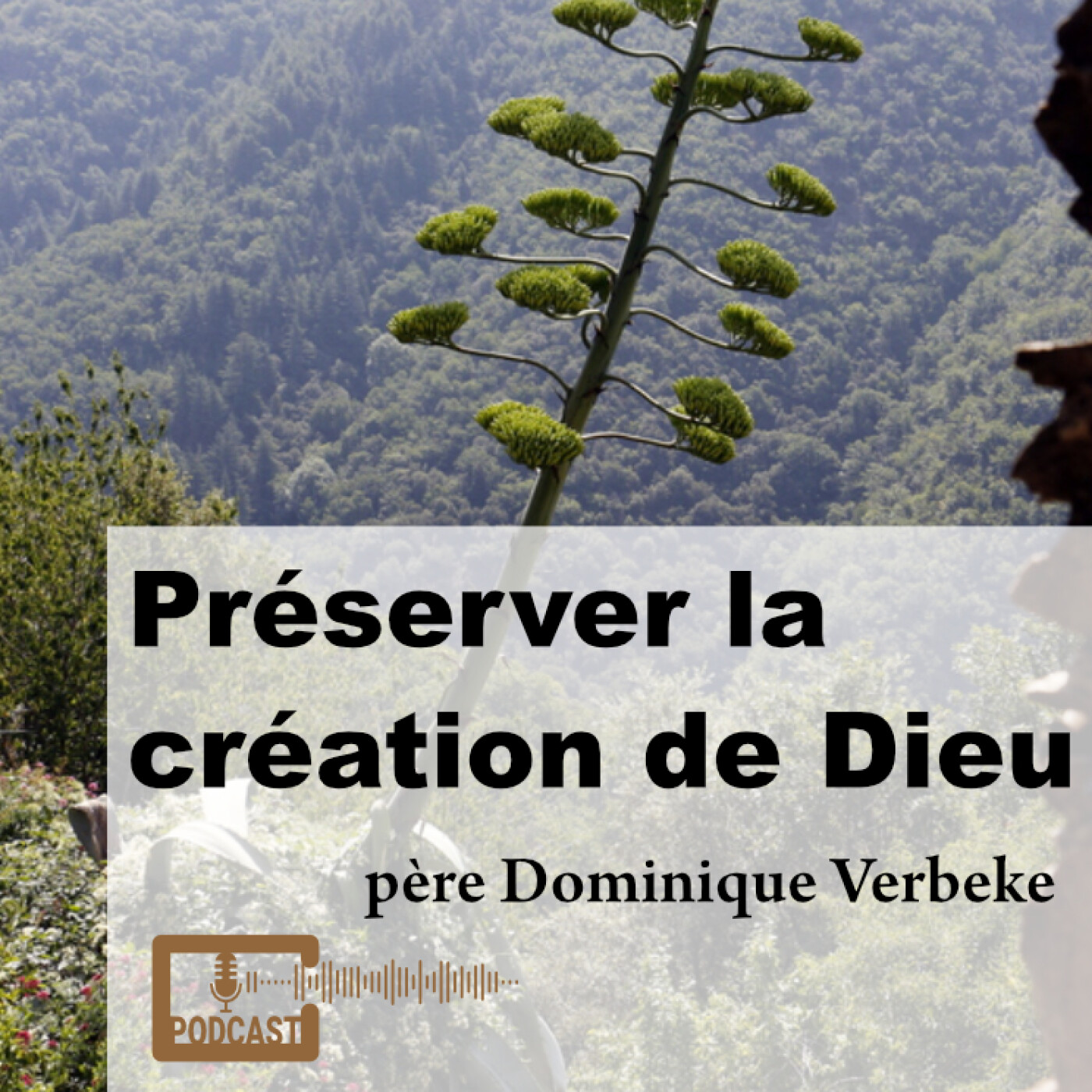 Préserver la création de Dieu. avec père Dominique Verbeke episode artwork