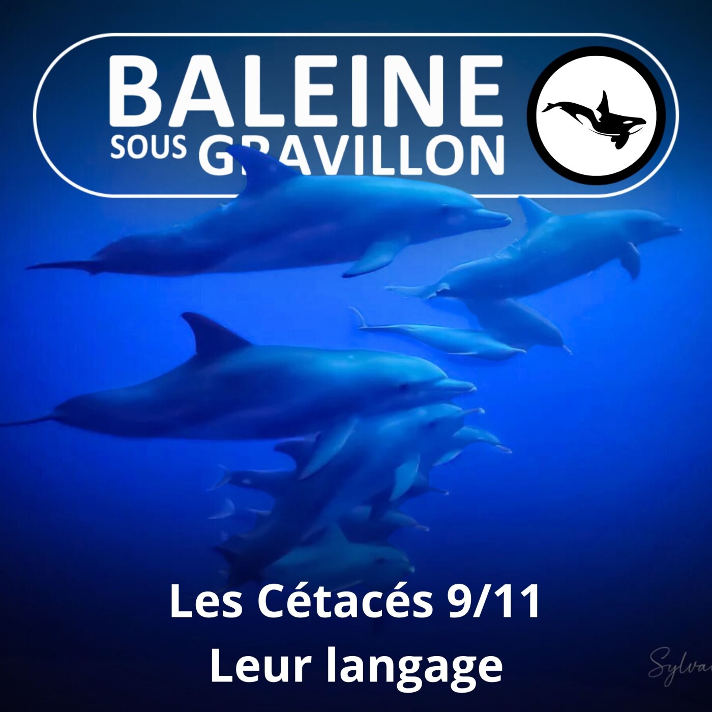 S03E61 Les Cétacés 9 : Murmurer à l'oreille des Baleines (Charlotte Esposito) episode artwork