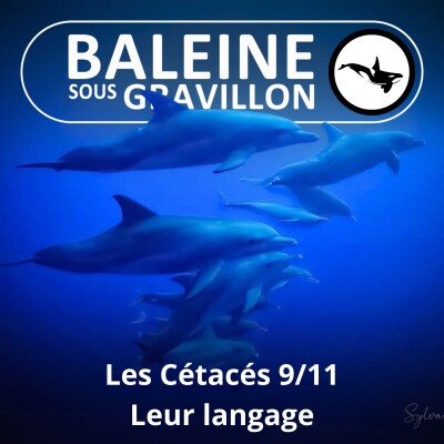 S03E61 Les Cétacés 9 : Murmurer à l'oreille des Baleines (Charlotte Esposito) cover