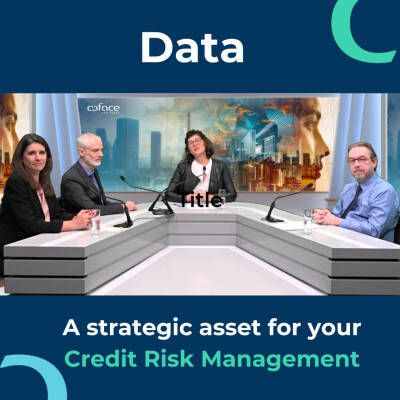 Data, a strategic asset for your Credit Risks management cover