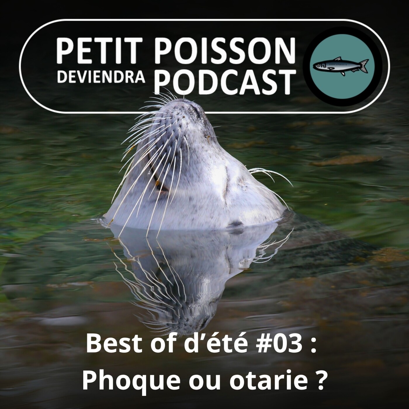 Petit Poisson deviendra Podcast