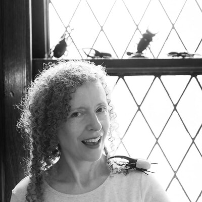 From Kitchen to Keyboard: How Dante Terese Blends Art, Science, and Suspense in Her Books cover