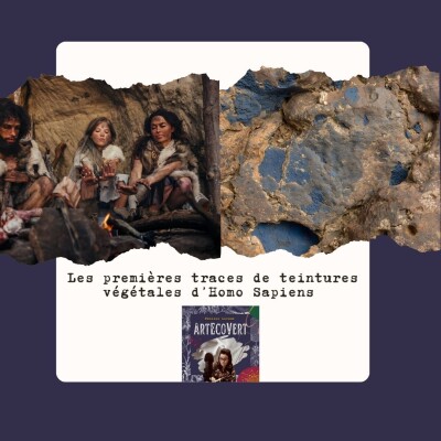 DECOUVERTES Les vraies premières teintures végétales de l'Histoire, quand Homo Sapiens découvre le bleu cover