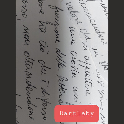 Il torneo Robinson cover