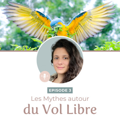 Episode 3 - Les mythes autour du Vol Libre cover