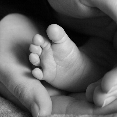 Naissance, prématurité et maternité cover