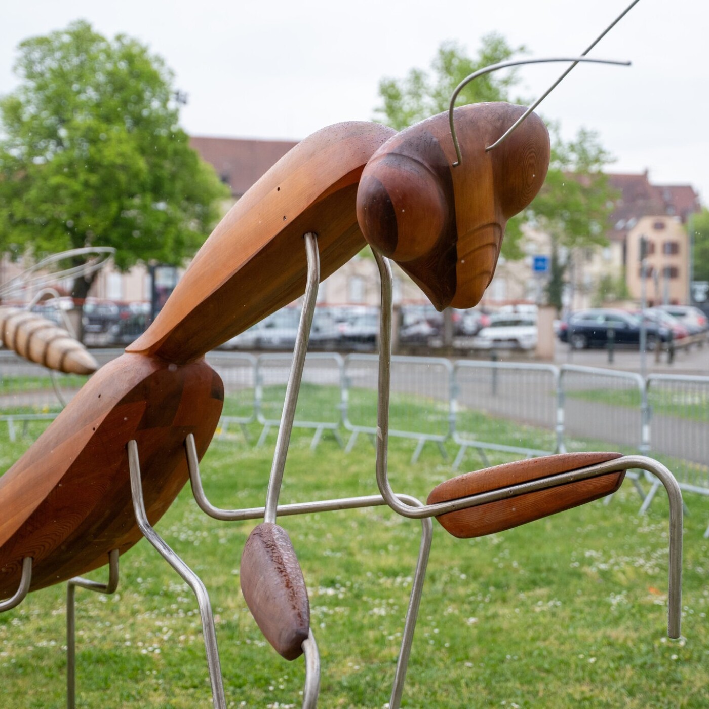 Haguenau : Exposition et apéro quizz à la médiathèque episode artwork