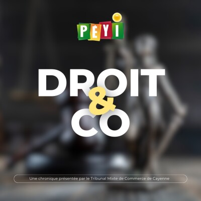 Droit&Co - Episode 1 : Le Tribunal Mixte de Commerce cover