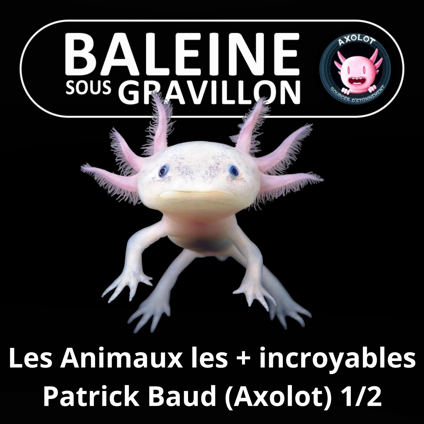 S02E42 Les Animaux les plus incroyables 1/2 (Patrick Baud, créateur d'Axolot) episode artwork