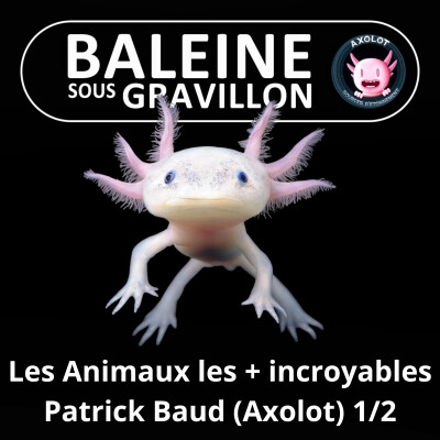 S02E42 Les Animaux les plus incroyables 1/2 (Patrick Baud, créateur d'Axolot) cover