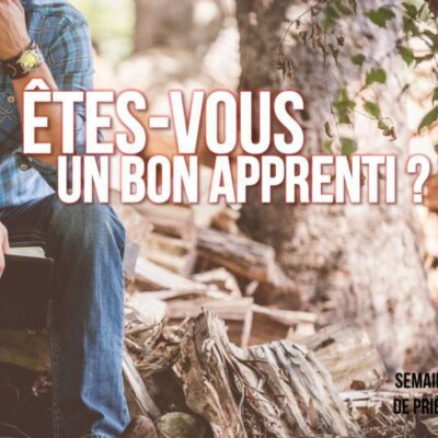 Êtes-vous un bon apprenti ? cover