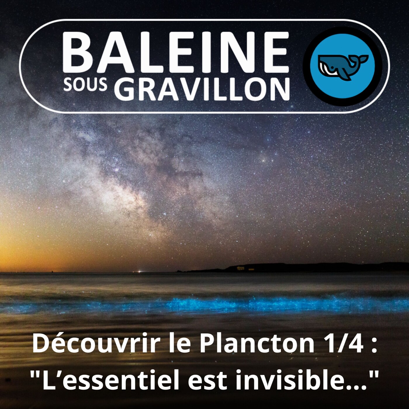 Baleine sous Gravillon