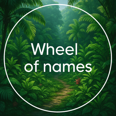 Wheel of names cover