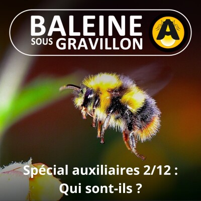 SPÉCIAL Auxiliaires 2/12 : Des alliés prédateurs mais pas que ... (COMBATS) cover