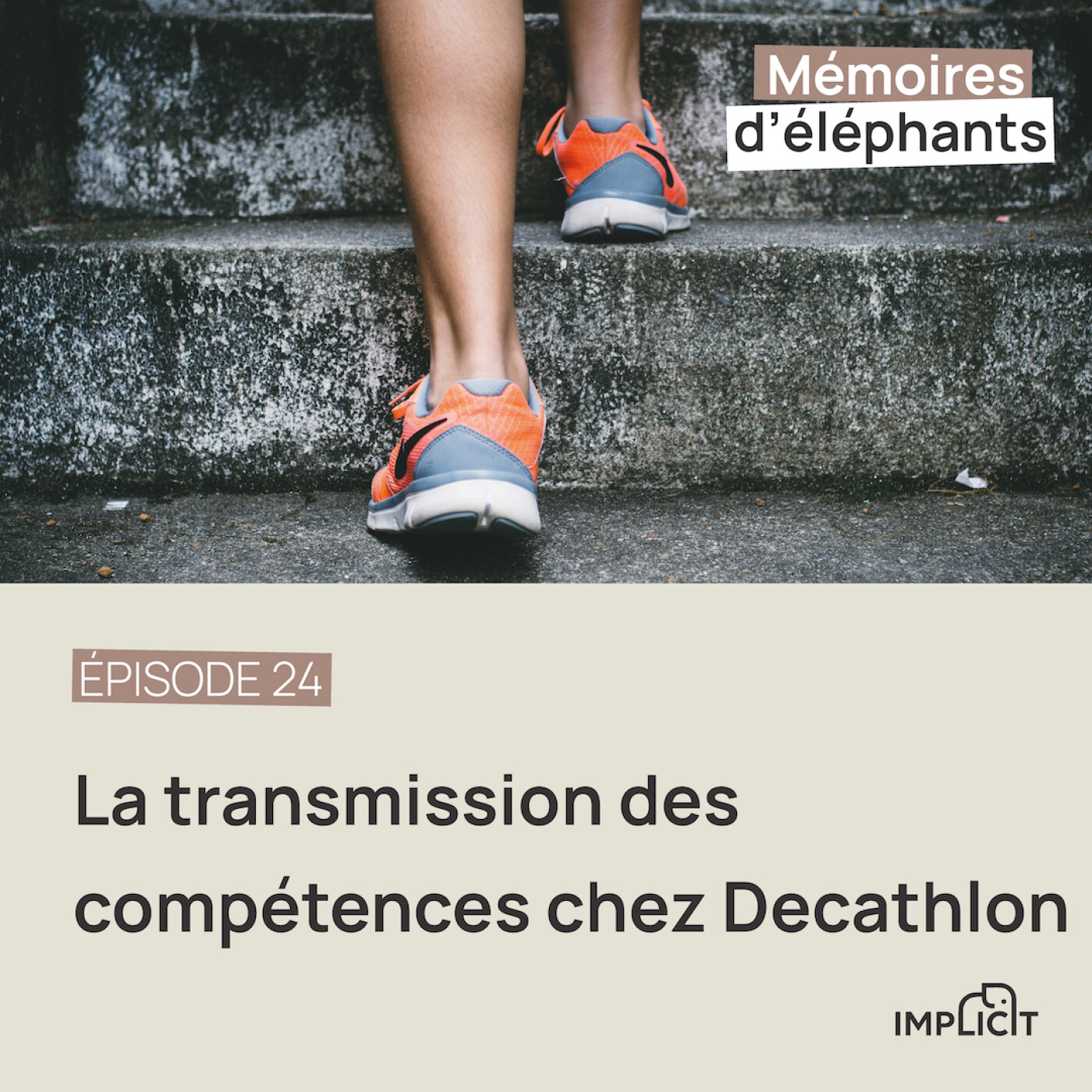 Mémoires d\'éléphants