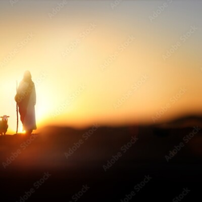 Psaume 23 : L'Eternel est mon berger cover