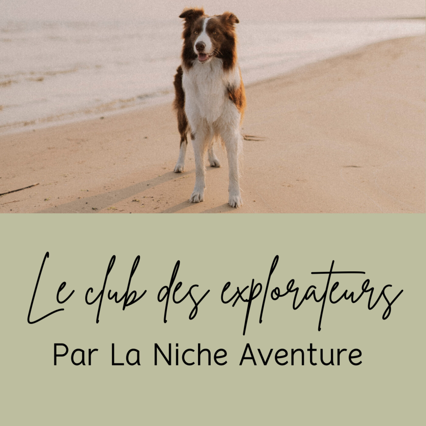 Bienvenue au Club des Explorateurs et RDV en 2025 ✨