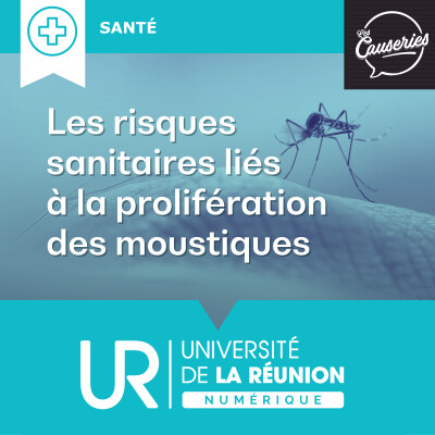 Les risques sanitaires liés à la prolifération des moustiques cover