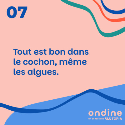 #07 • "Tout est bon dans le cochon, même les algues." cover