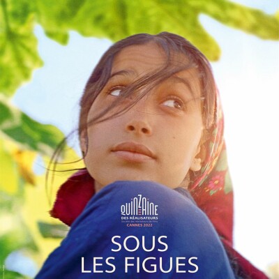 Sous les figues cover