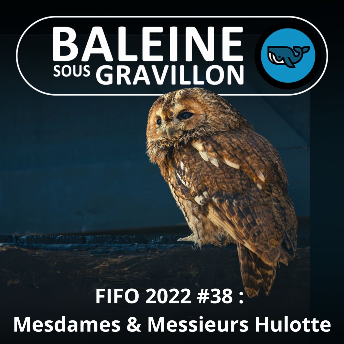 FIFO #38 : Hulotte mâle et femelle, des cris très différents (Bruno Ferré, Bretagne Vivante)