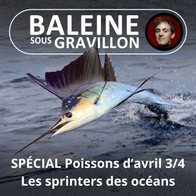 SPÉCIAL Poissons d'avril 3/4 : Les sprinters des océans (Bill François) cover
