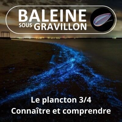 S02E05 Le Plancton, "petit peuple de l'eau" 3/4 : Pierre Mollo, une vie pour comprendre et protéger cover