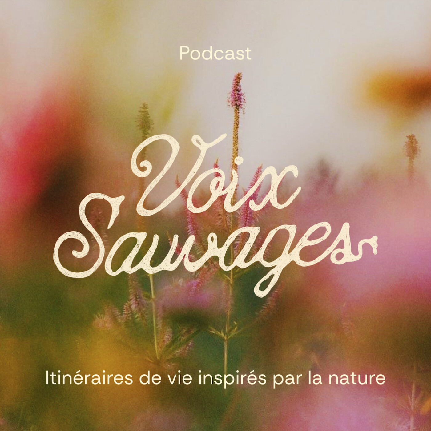Voix Sauvages