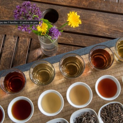 Pause gourmande, chaude et de saison, en Alsace ! cover