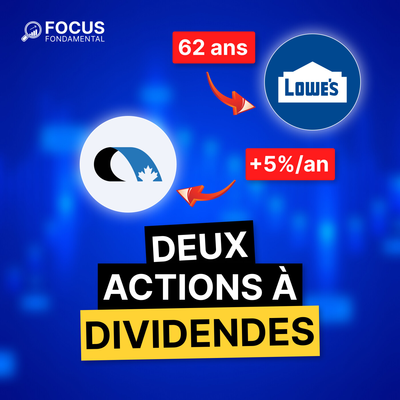 FFP(038) - Nos deux meilleures actions à dividende !