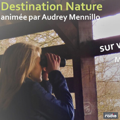 DESTINATION NATURE - Le Loup cover