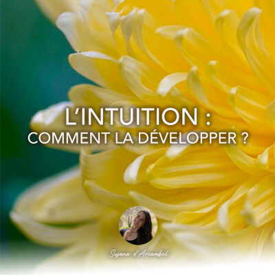 #96 L'intuition : comment la développer et prendre de bonnes décisions ? cover