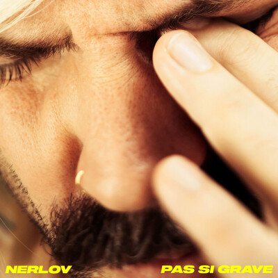 NDJ NEO NERLOV Pas si grave cover