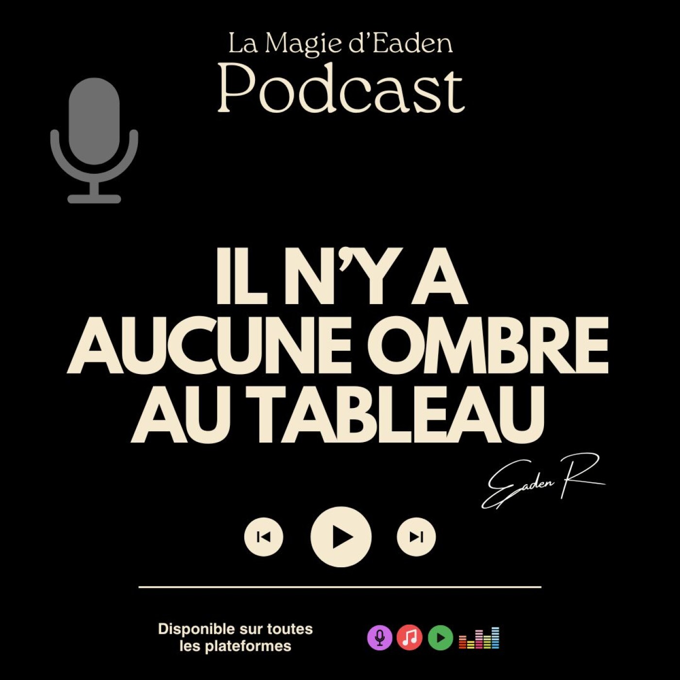Il n'y a aucune ombre au tableau episode artwork