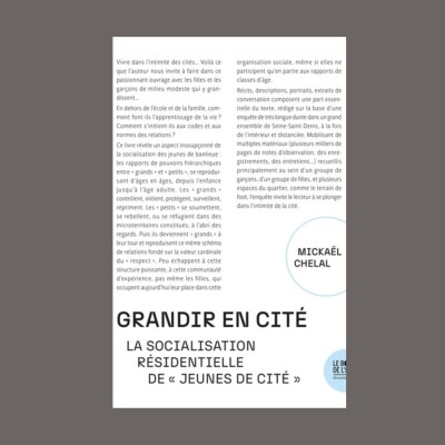 Mickaël Chelal et Fabien Truong - "Grandir en cité" et "Grands ensemble" cover