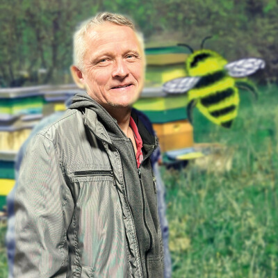 Les abeilles font leur BUZZZ cover