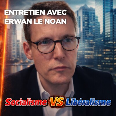 "L'erreur du socialiste, c'est de croire qu'on peut modeler le monde à notre guise." Erwan le Noan cover