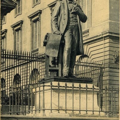 Brève : La statue du vivisecteur cover
