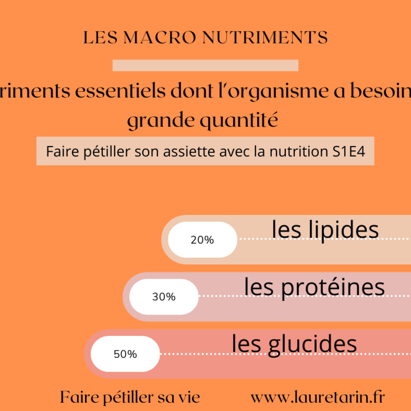 Les macronutriments S1E4 Les macronutriments S1E4