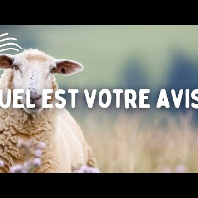 Parole et Évangile du jour | Mardi 12 décembre • Notre Dame de Guadalupe ! cover